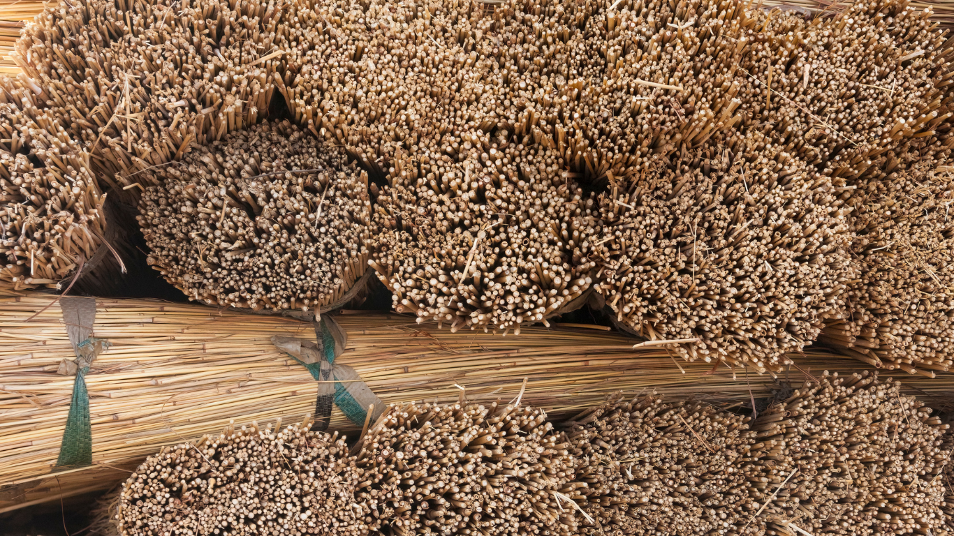 Croft Architecture thatch